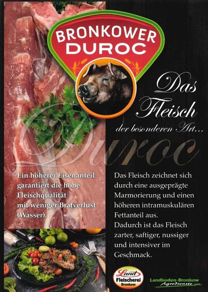 Duroc 1